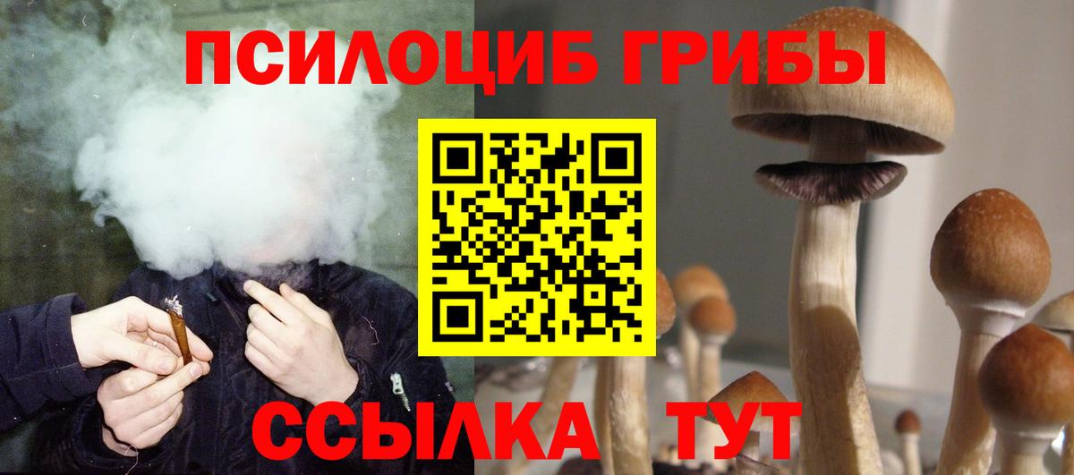 Галлюциногенные грибы мухоморы  Вход с VPN  Люберцы  цена   Псилоцибиновые грибы MAGIC MUSHROOMS 